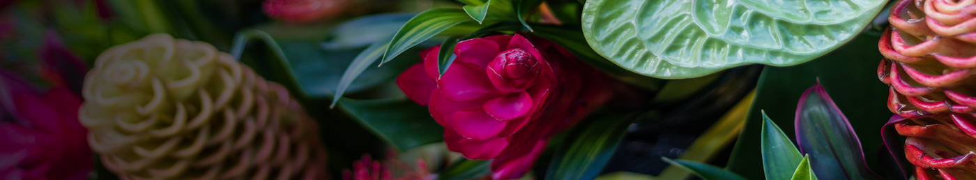 All Flowers