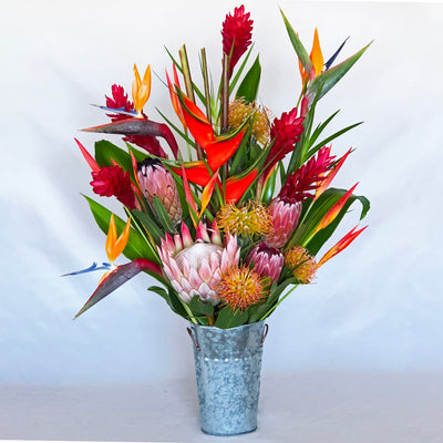 Maui Protea Flower Plants – Lehua's Forest, Flower Arrangements