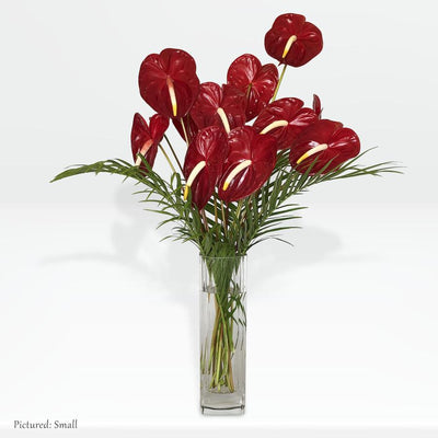 Red Anthurium Box-Maui Floral